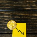 Обучение трейдингу с помощью книг и программы CopySoft trading-788.jpg